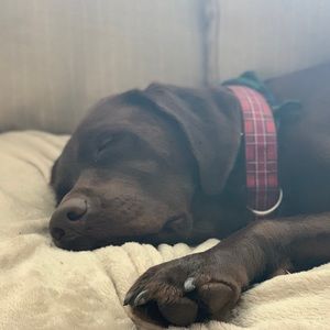 Meet your Posher, Jenn